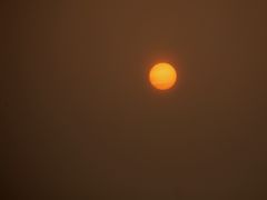 -吴淞炮台湾湿地森林公园烧烤区