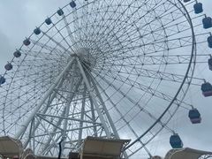 -琴岛之星摩天轮