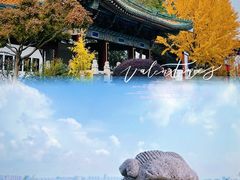 -阅江楼风景区