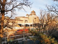 -莲花池公园