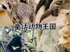 -长鹿旅游休博园
