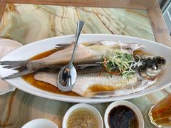 清蒸太湖白鱼-翡翠江南(国贸商城店)