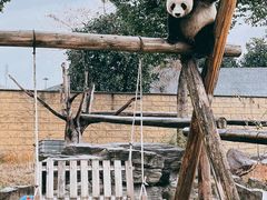 -杭州野生动物世界