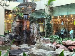 -白虎自助餐厅·真老虎·景观自助餐厅(广州长隆酒店)