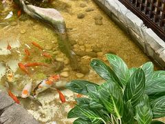 -顺德渔村·岭南一号