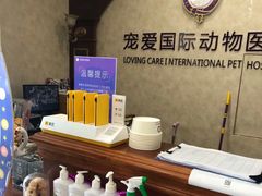 -宠爱国际动物医院· 猫科· 外科·中兽医(长白店)