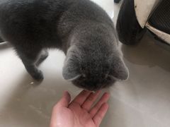 -平行世界·猫咖(首经贸店)