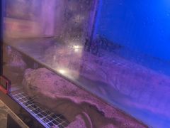 -九尊食上(生态园林酒店)