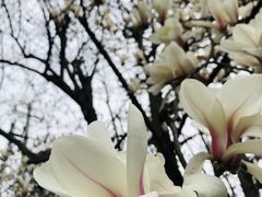 -阳明祠
