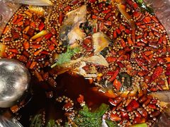 -味之绝热血美蛙鱼火锅(中坝店)