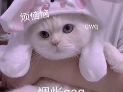 -泸溪河桃酥(长乐路店)
