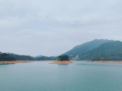 -广州市流溪河国家森林公园