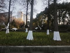 -圩墩遗址公园