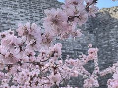 -北京明城墙遗址公园