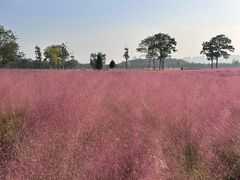 -汉长安城未央宫国家考古遗址公园