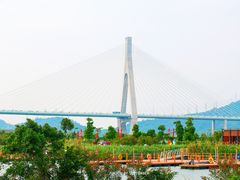 -芒洲湿地公园
