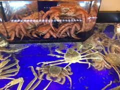 -蟹道乐(道顿堀本店)