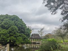 -中国科学院西双版纳热带植物园