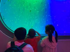 -福州罗源湾海洋世界旅游区