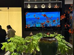 -杏花村水席楼·洛阳水席(老城十字街店)