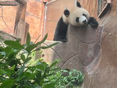 -乐和乐都主题乐园