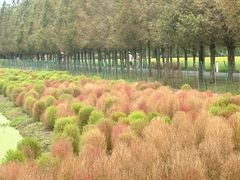 -嘉北郊野公园