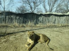 -北京野生动物园