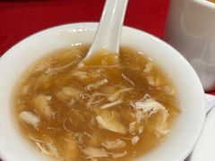 -Gloria Maris Shark's Fin Restaurant Greenhills
