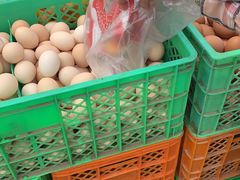 -何庄子阿米玛玛农产品批发市场