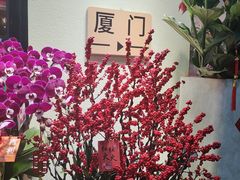 -溪岸路花鸟市场