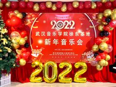 -武汉音乐学院徐东基地