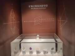 -正佳自然科学博物馆