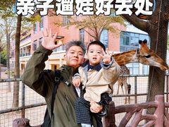 -灵玲国际马戏城