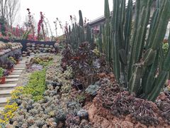 -三圣花乡旅游区