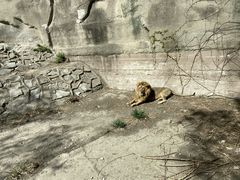 -北京海洋馆