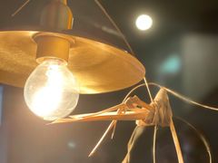 -毛辣果·酸(OHA复兴西路店)