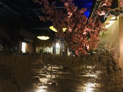 -淀里船宴(裕华东路店)
