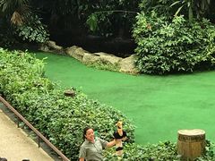 -新加坡飞禽公园