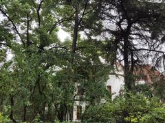 -申粤轩酒楼·三十年粤菜经典(丁香花园店)