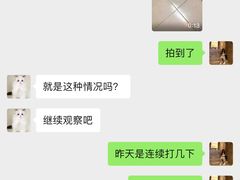 -袖虎·猫馆(体育西路店)