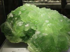 -湖南省地质博物馆