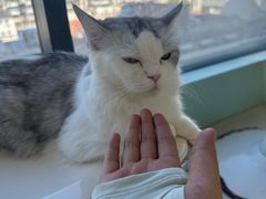 -怪兽屋·羊驼·猫咖·狗咖(俊华广场店)