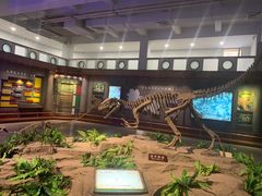 -自贡恐龙博物馆