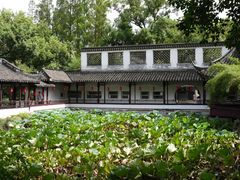 -上海醉白池公园