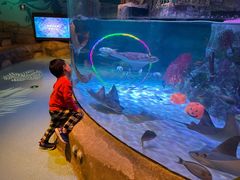 -沈阳海洋探索中心