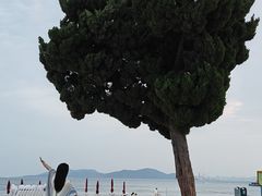 -青岛第一海水浴场