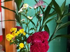 -东莞植物园