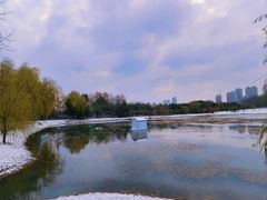 -安徽大学(磬苑校区)