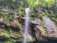 -龙苍沟森林公园