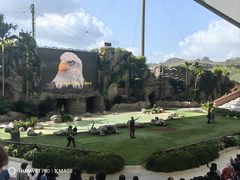 -新加坡飞禽公园